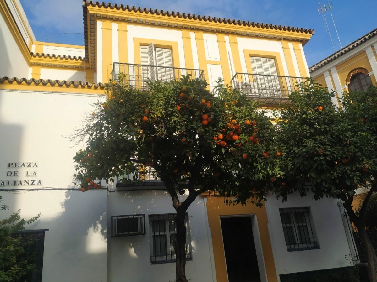 Imagen exterior del proyecto Alianza antes de la reforma